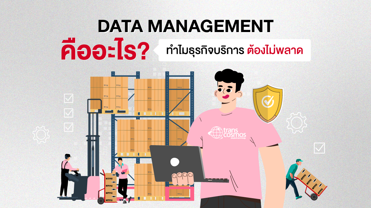 Transcosmos Thailand - Data Management คืออะไร? ระบบจัดการข้อมูล ลดความ ...